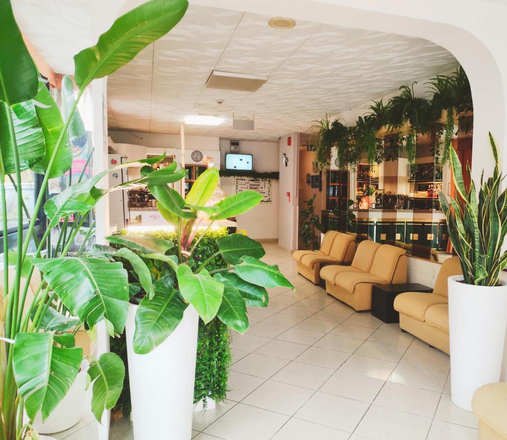 Hotel Zenith Rimini Dış mekan fotoğraf