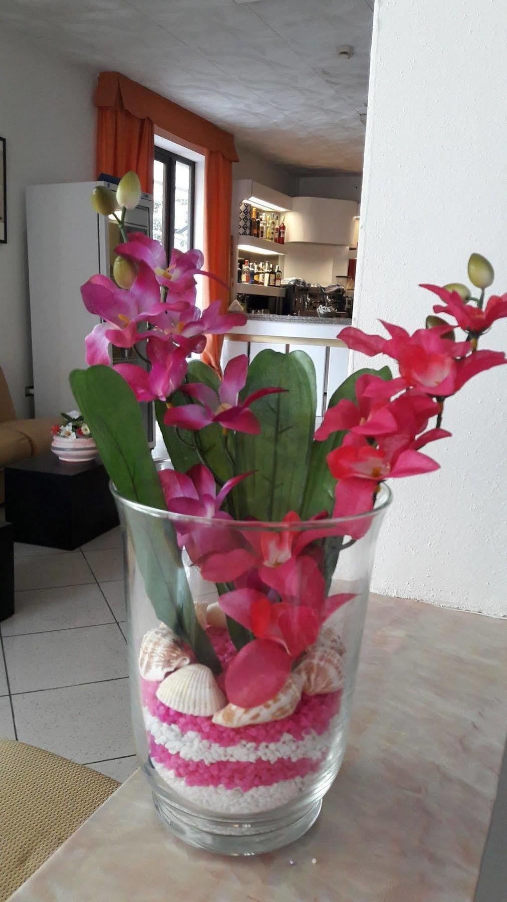 Hotel Zenith Rimini Dış mekan fotoğraf